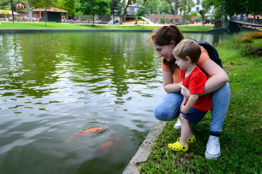 Teaching Kids About Fish Care