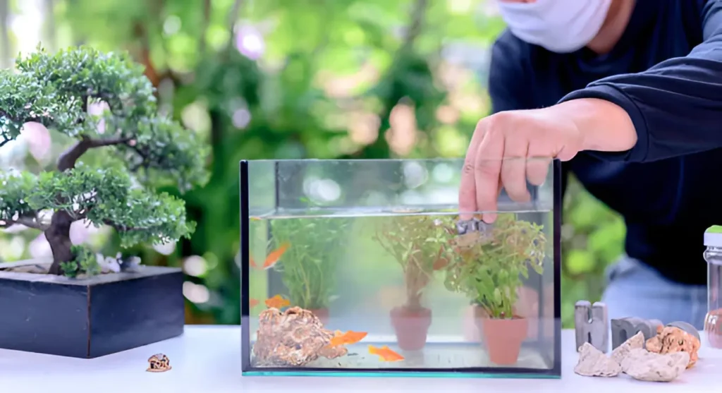 how to prepare fish tank