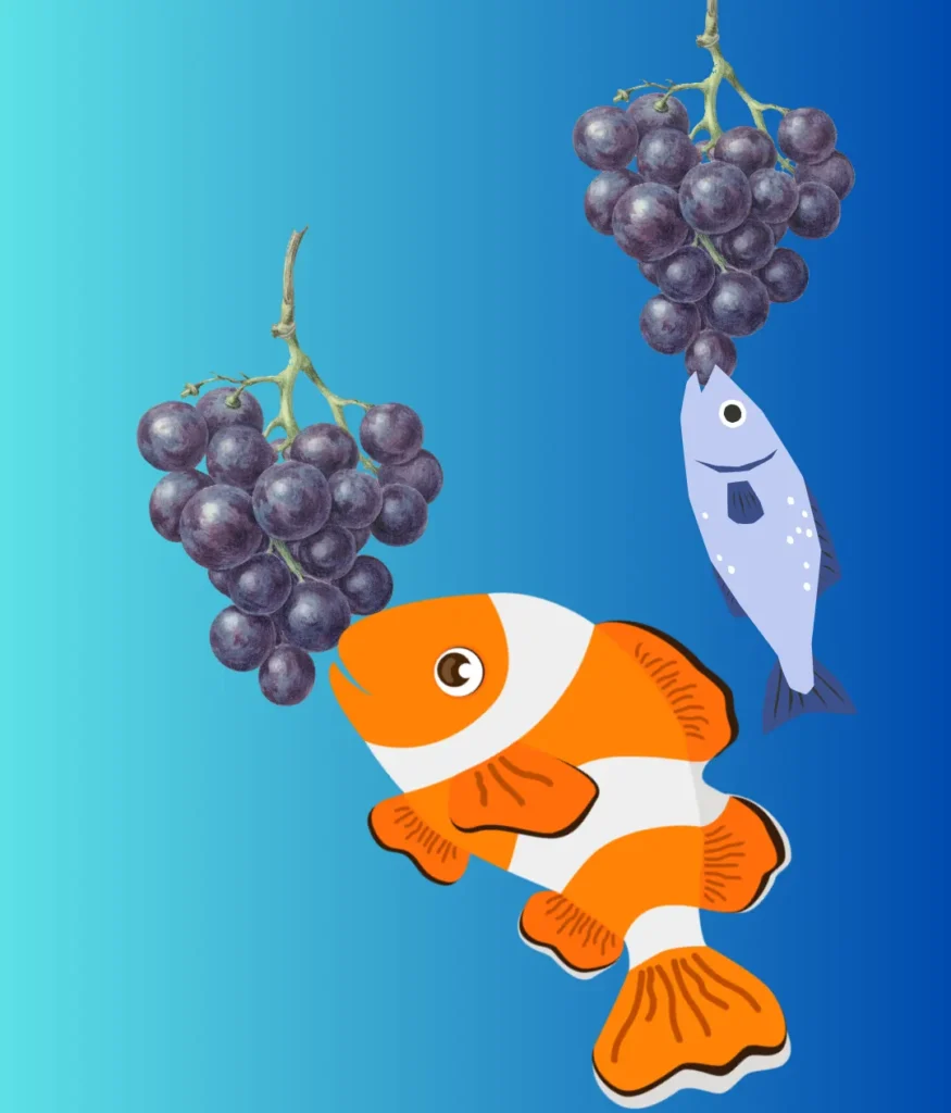 do fishes eat grapes