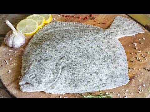 turbot fish