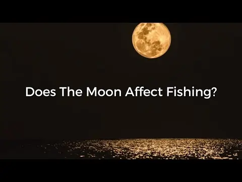 Are Fish Affected by Lunar Cycles